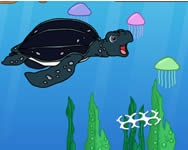 Diego tugathe sea turtle online